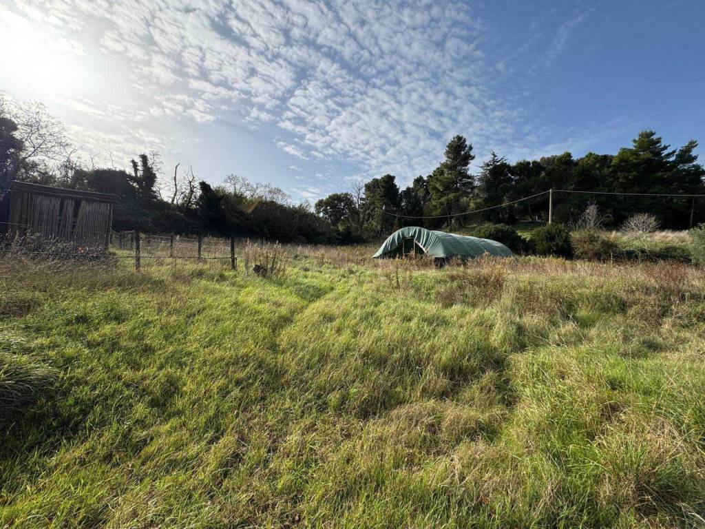 Terreno a Casale marittimo - Foto 2