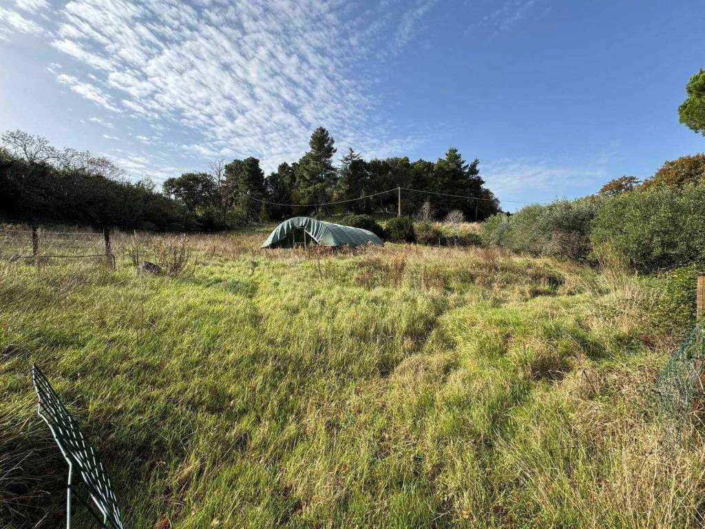 Terreno a Casale marittimo - Foto 4