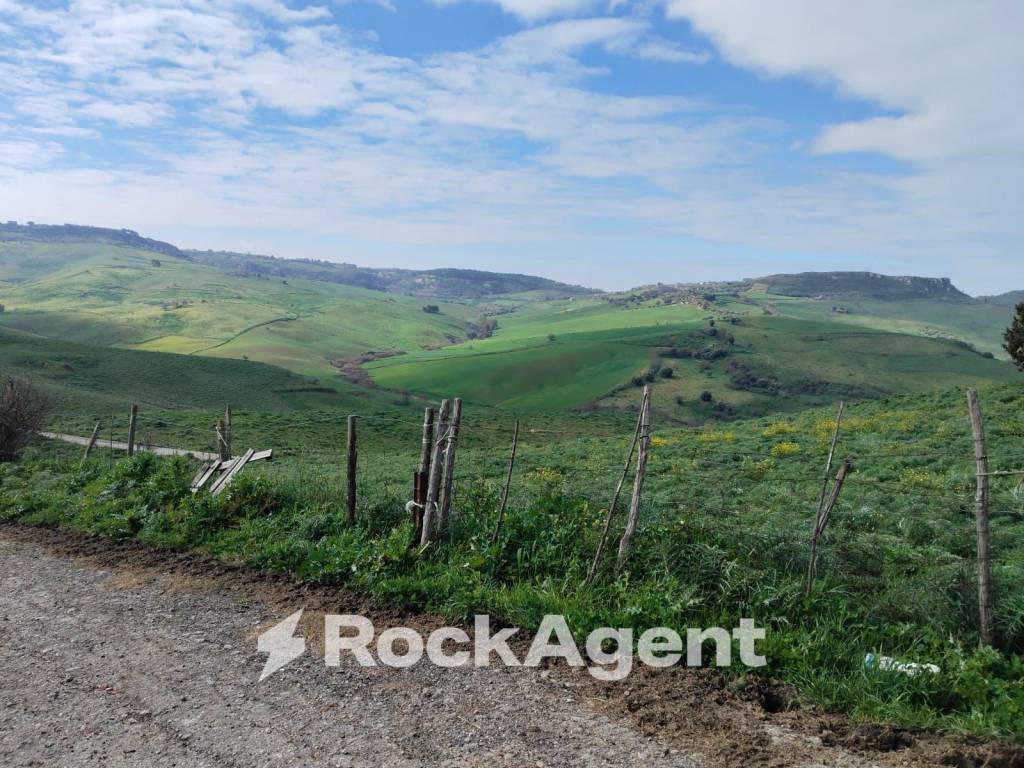 Terreno a Calascibetta in Contrade Carminello e Catena - Foto 2