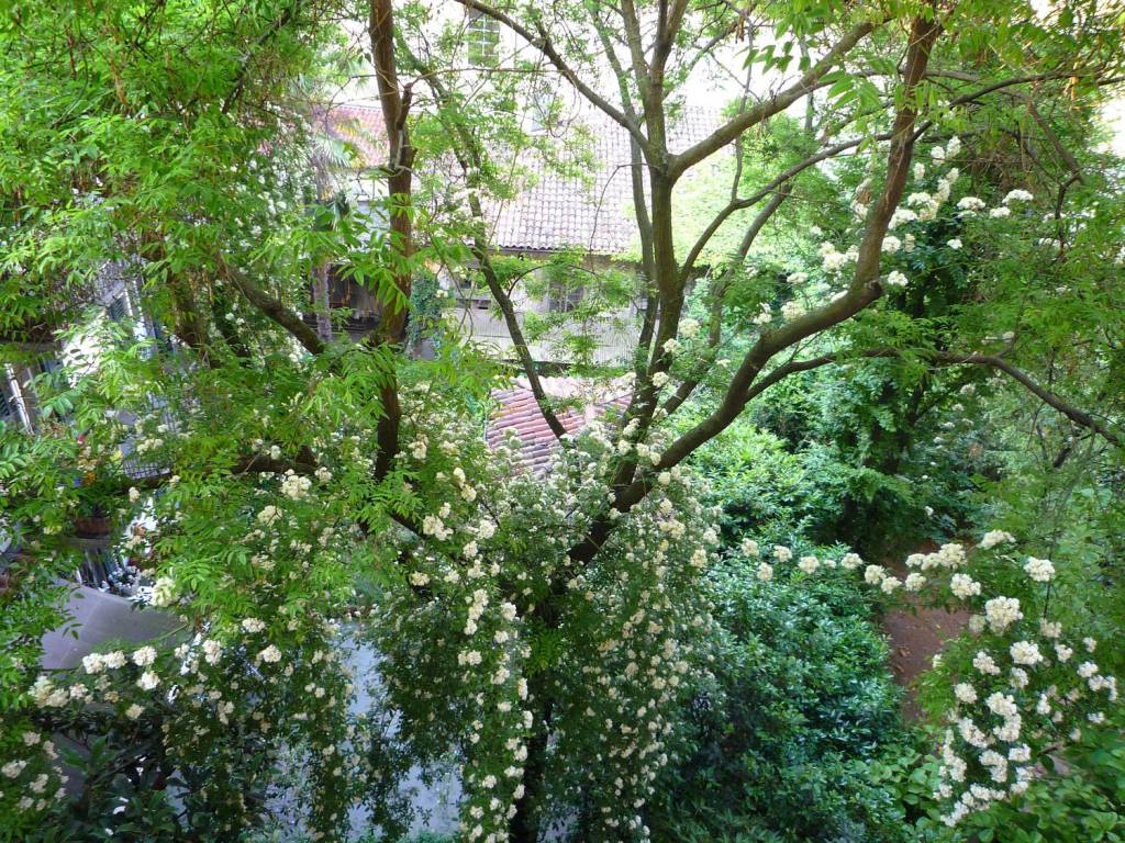 Appartamento a Bergamo in Via Giuseppe Garibaldi - Foto 4