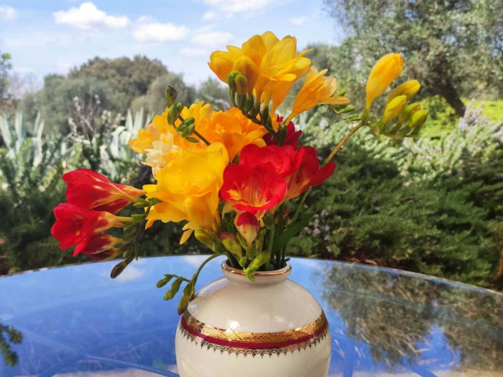 Appartamento a Ostuni in Contrada Pascarosa - Foto 3