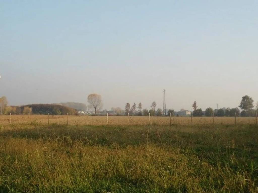 Terreno a Cervarese santa croce - Foto 2