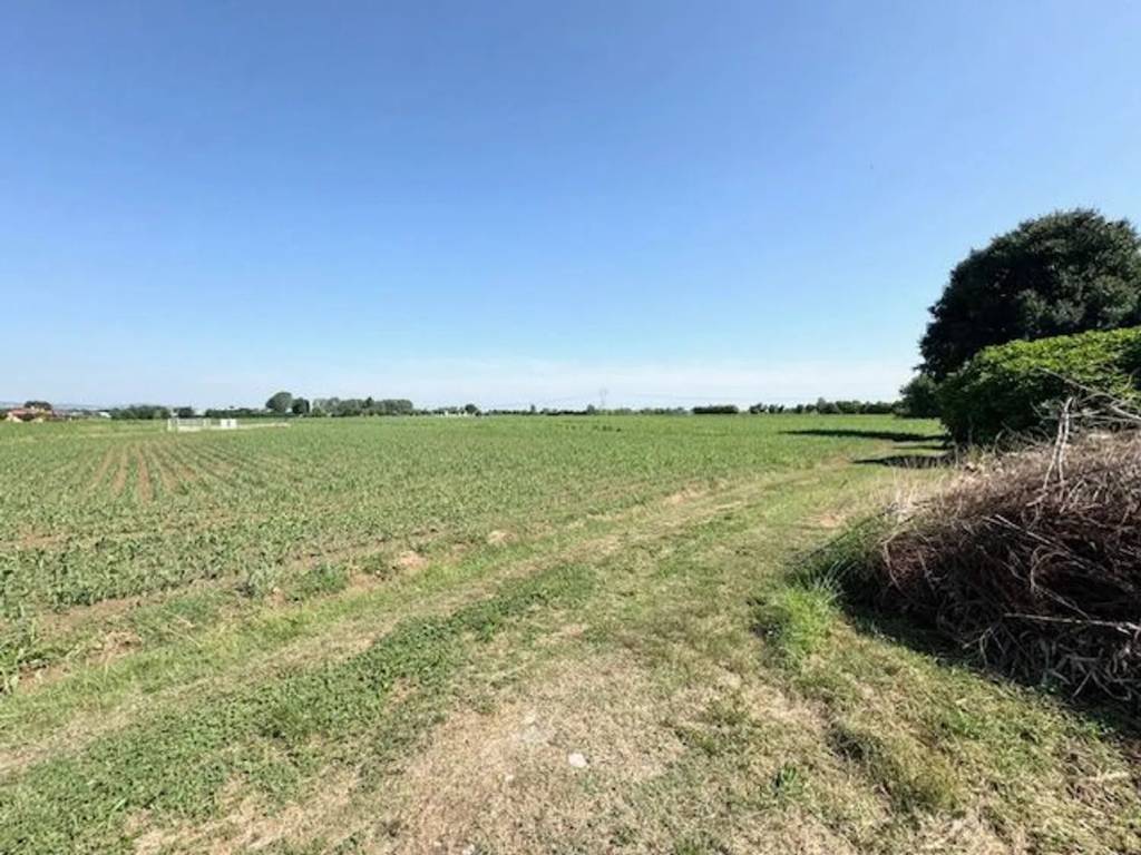 Terreno a Saccolongo - Foto 3