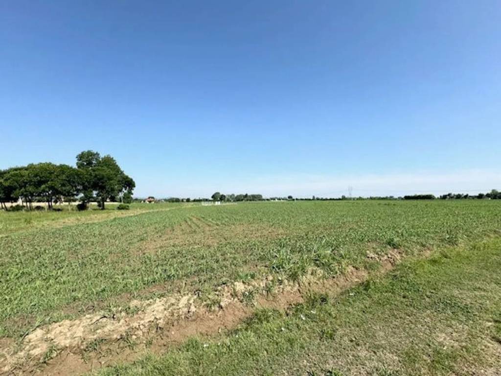 Terreno a Saccolongo - Foto 4