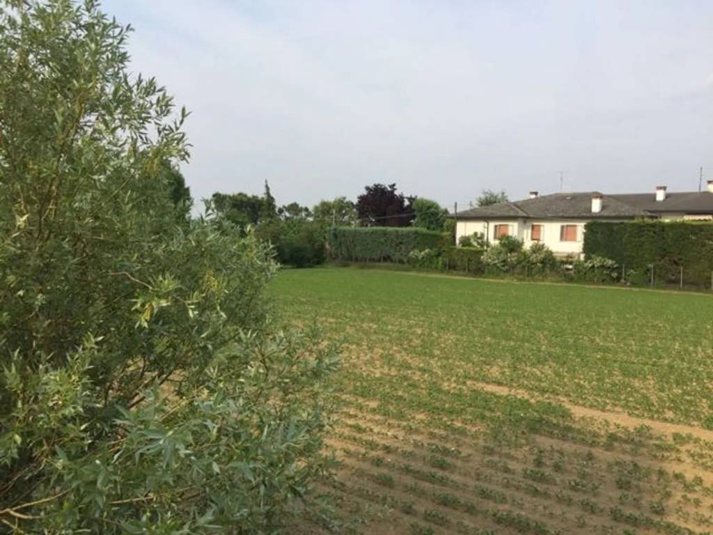 Terreno a Rovolon - Foto 3