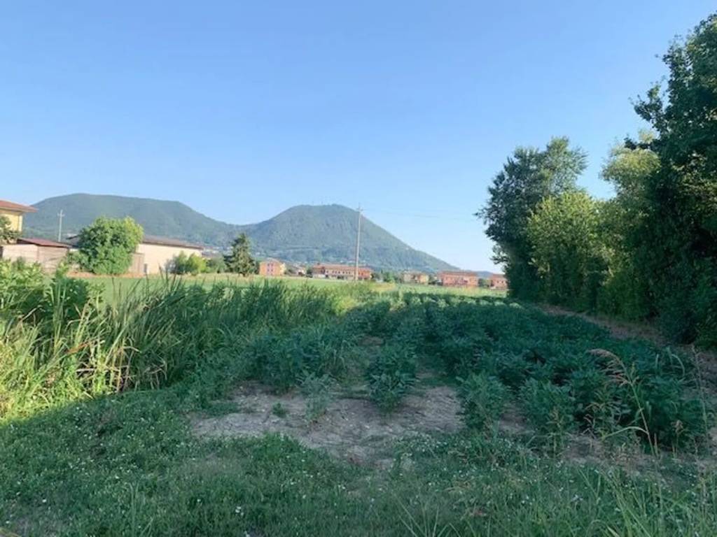 Rustico / casale a Rovolon - Foto 5