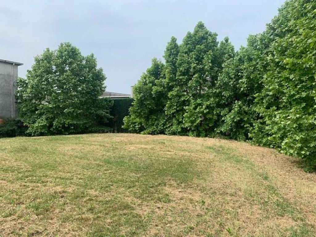 Rustico / casale a Cervarese santa croce - Foto 3