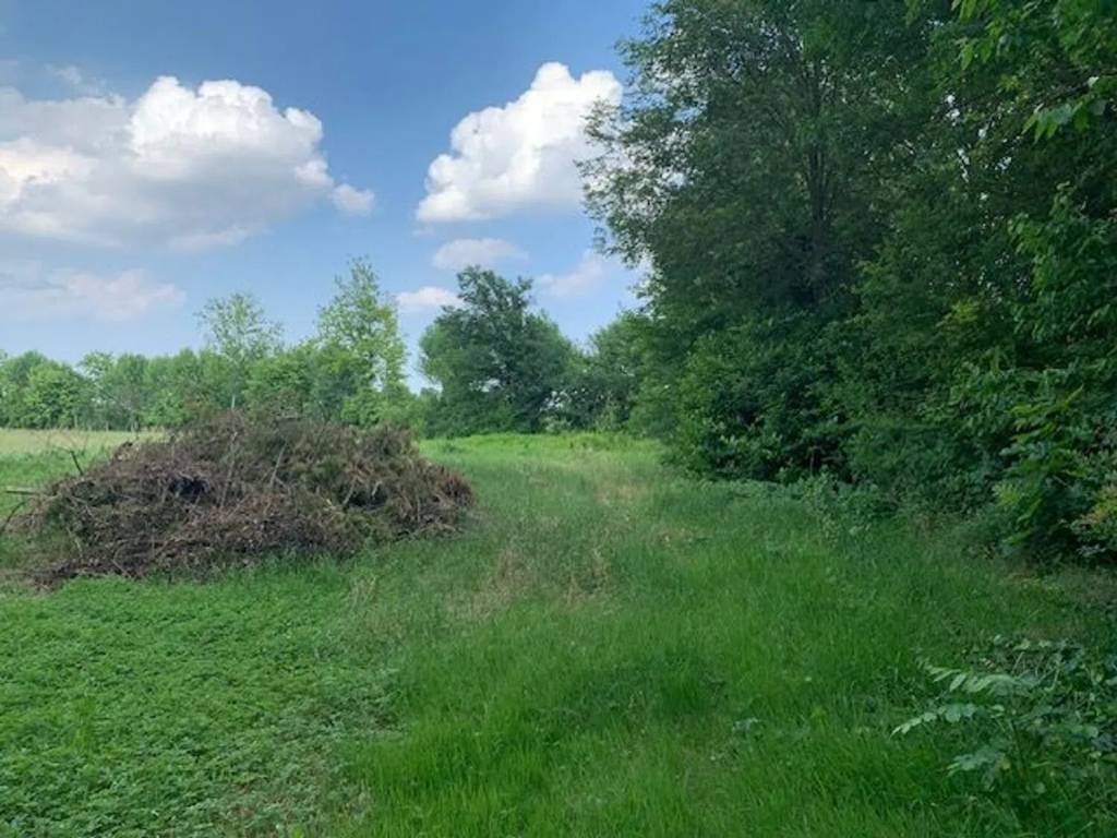 Villa a Saccolongo - Foto 5