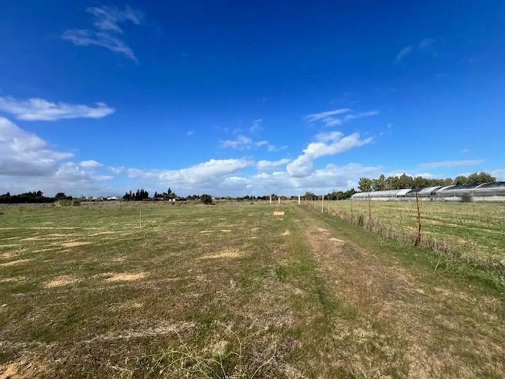 Terreno a Assemini in Località Sa Cannada No Number - Foto 3