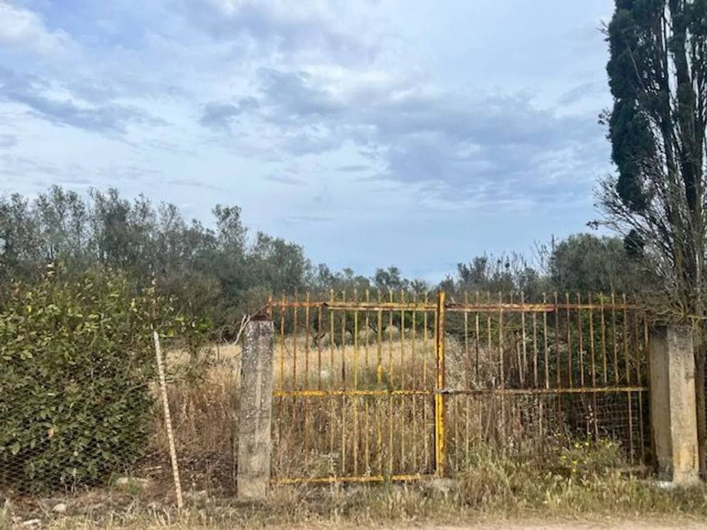 Terreno a Assemini in Traversa Sulla Strada Dei Canadesitraversa Sulla Strada Dei Canadesi - Foto 2