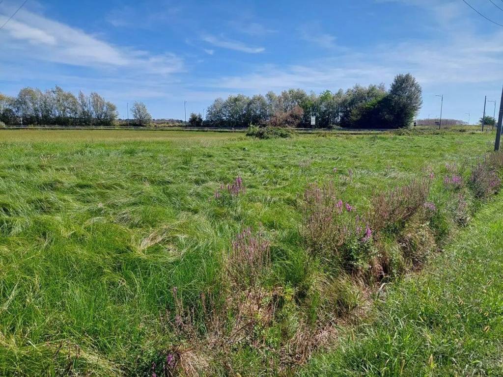Terreno a Mottalciata in Via Giuseppe Mazzini - Foto 2