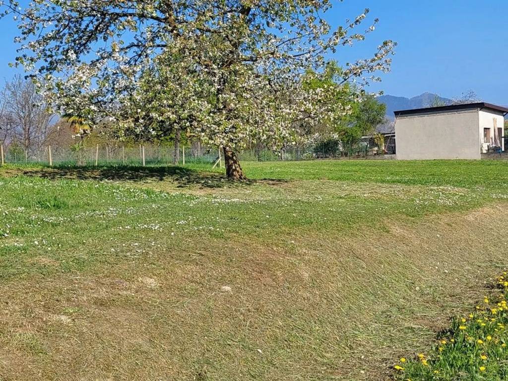 Terreno a Lessona in Via Costantino Crosa - Foto 2