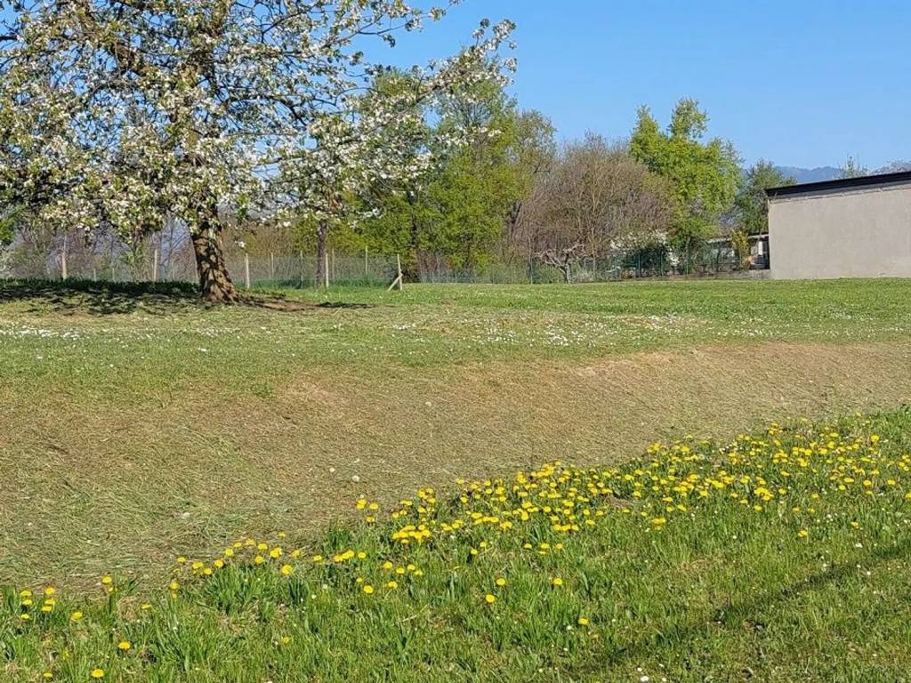 Terreno a Lessona in Via Costantino Crosa - Foto 3