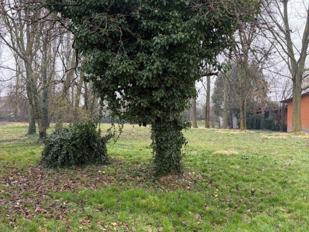 Rustico / casale a Gorgo al monticano in Via Roma - Foto 4