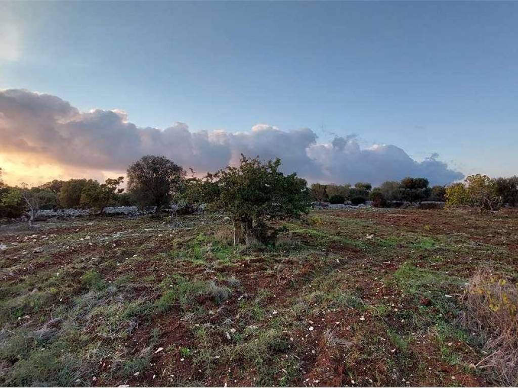 Terreno a Carovigno - Foto 2