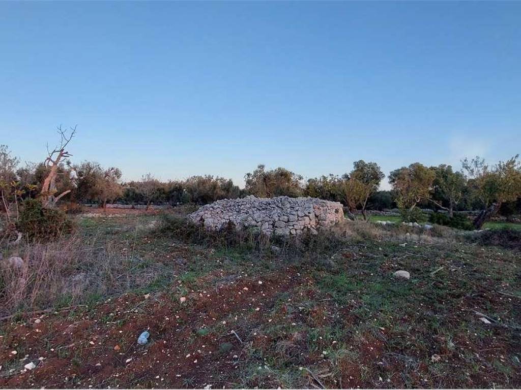 Terreno a Carovigno - Foto 3