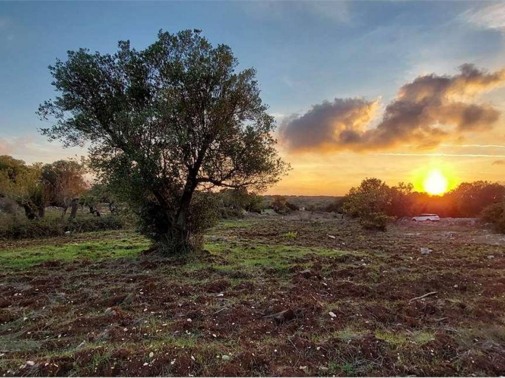 Terreno a Carovigno - Foto 4