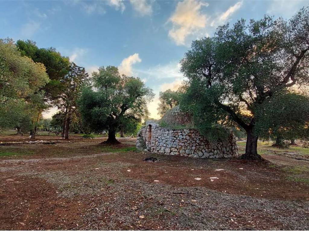 Terreno a Carovigno - Foto 4