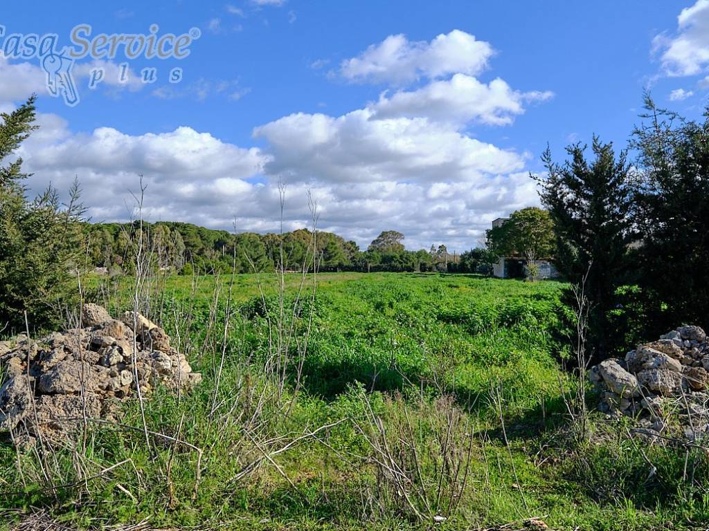 Terreno a Gallipoli in Contrada Li Foggi - Foto 3