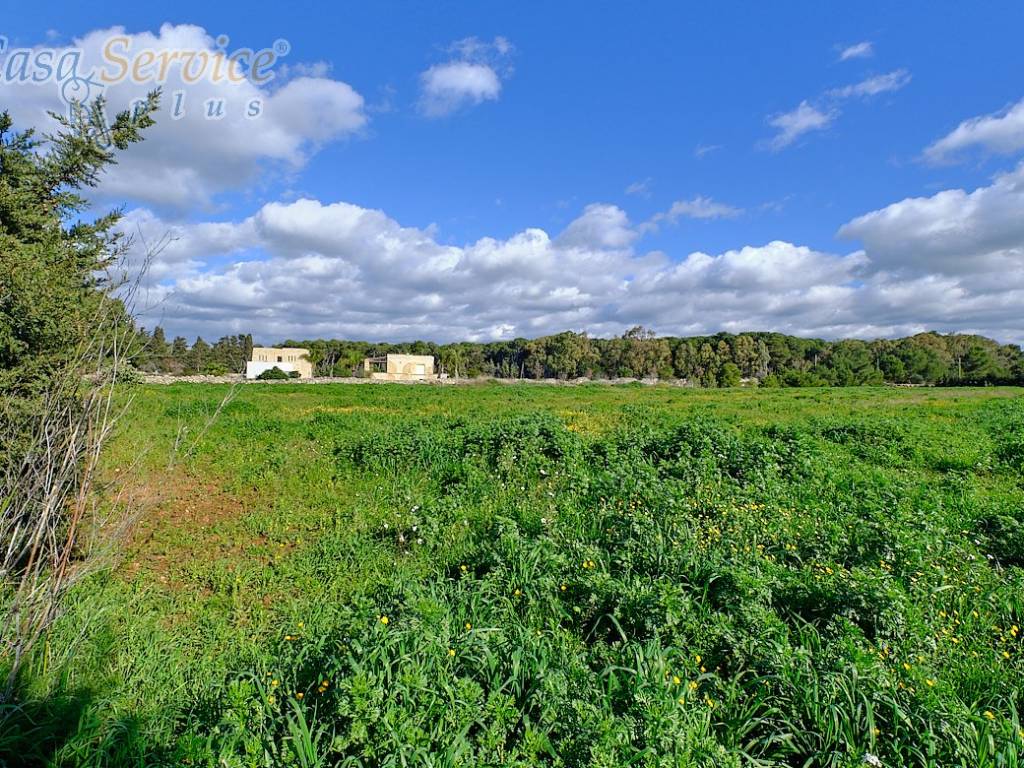 Terreno a Gallipoli in Contrada Li Foggi - Foto 5