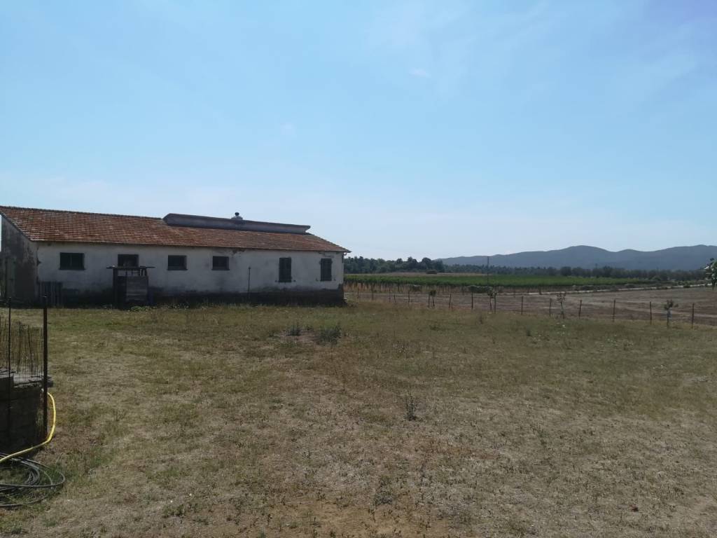 Terreno a Pitigliano in Pian di Morrano - Foto 4