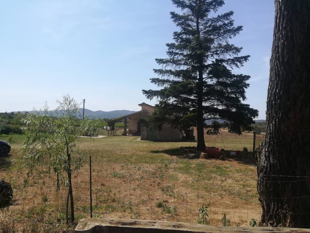 Terreno a Pitigliano in Pian di Morrano - Foto 5