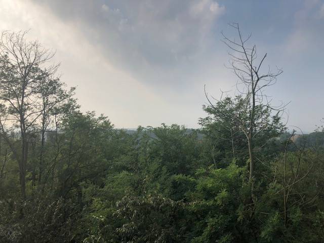 Villa a Asti - Foto 3