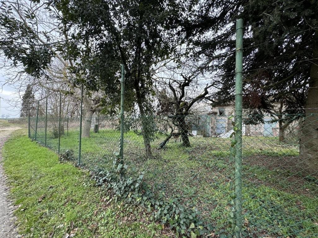 Immobile a Argenta in Via Primo Cai - Foto 2