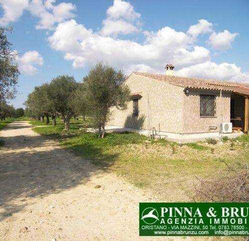 Rustico / casale a Riola sardo in Via Umberto I - Foto 3