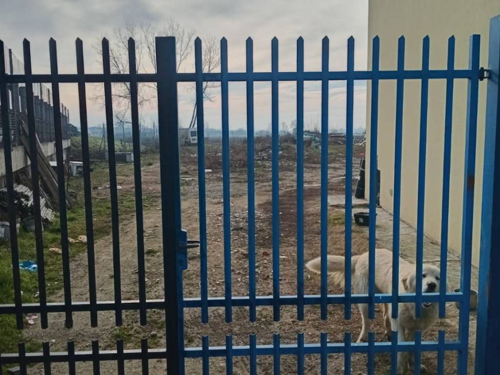 Villa a Alessandria in Via della Monaca, 10 - Foto 5