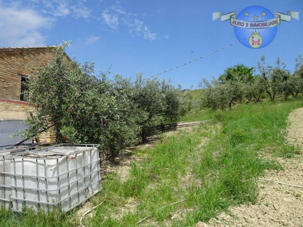 Rustico / casale a Acquaviva picena in Via Santa Caterina - Foto 2