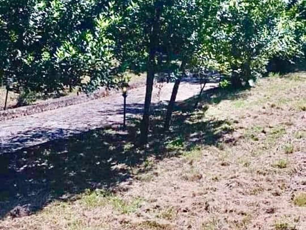 Rustico / casale a Montefredane in Montefredane - Via Torre - Foto 5