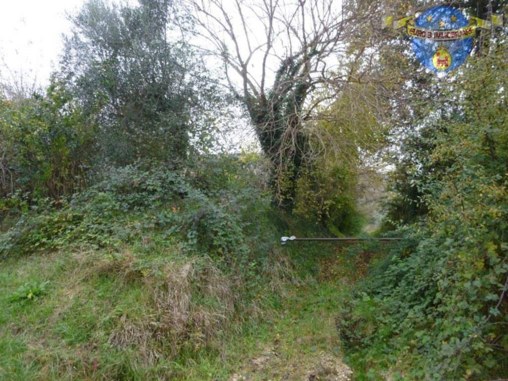 Rustico / casale a Carassai in Contrada aso s.n.c - Foto 5