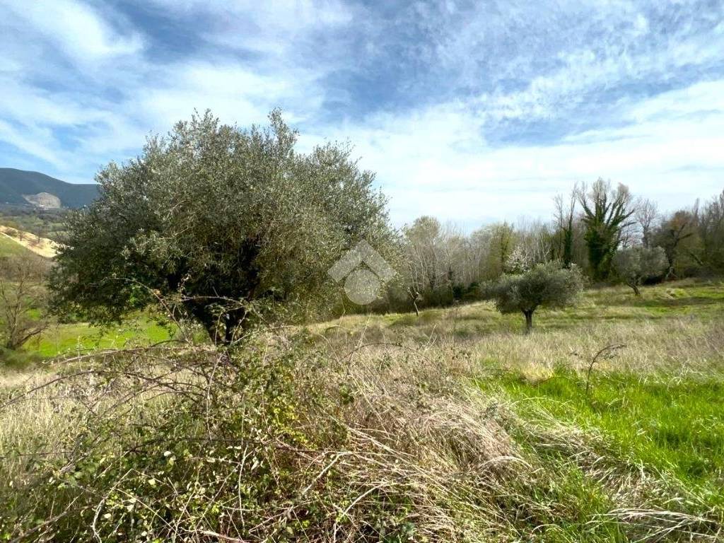 Terreno a Cantalupo in sabina in Str. S. Giovanni - Foto 3