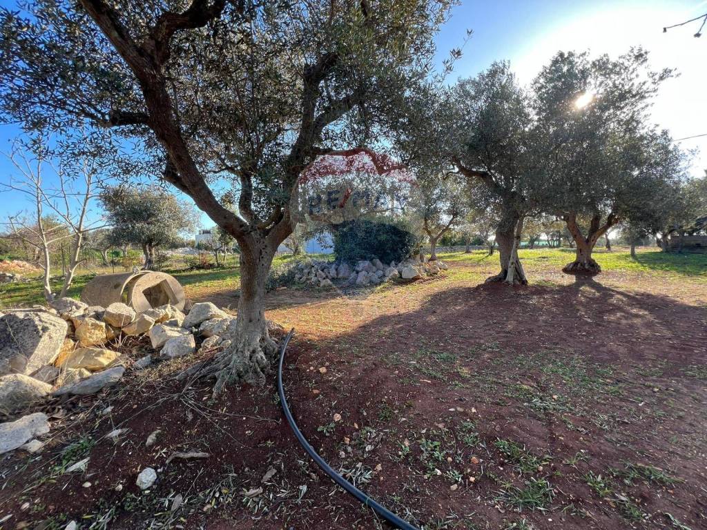 Casa indipendente a Monopoli in Contrada Sorba - Foto 2