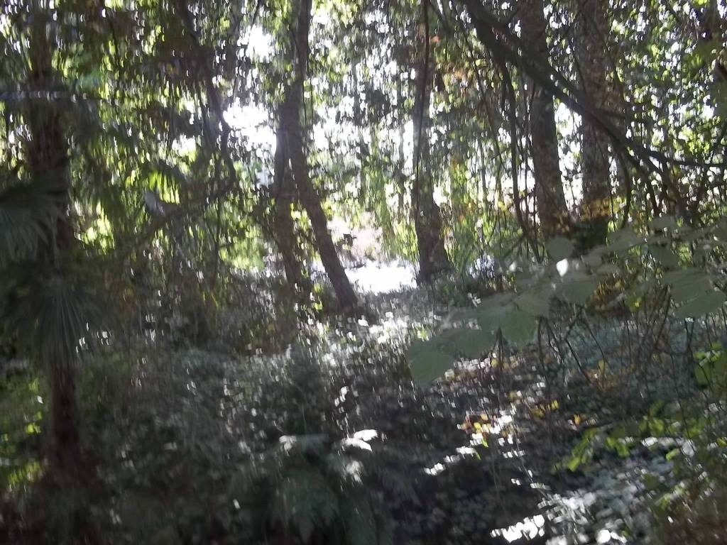Rustico / casale a Cerano in Via Cascina Rosa - Foto 4