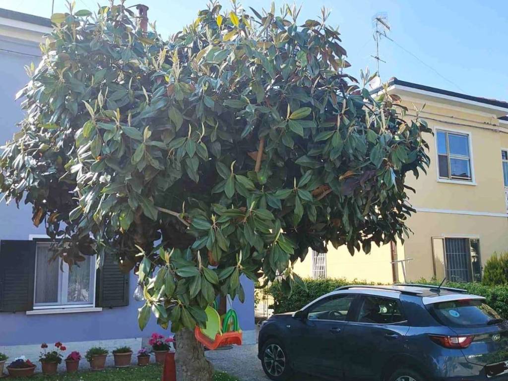 Villa a Ferrara in Via polina, 25 - Foto 4