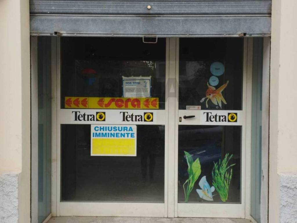 Immobile a Pescara in via Botticelli, 10 - Foto 4