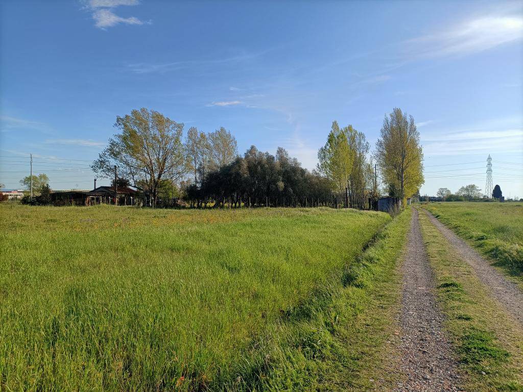 Terreno a Cascina in Via di Quarto Sud - Foto 2