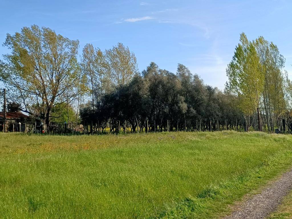 Terreno a Cascina in Via di Quarto Sud - Foto 3