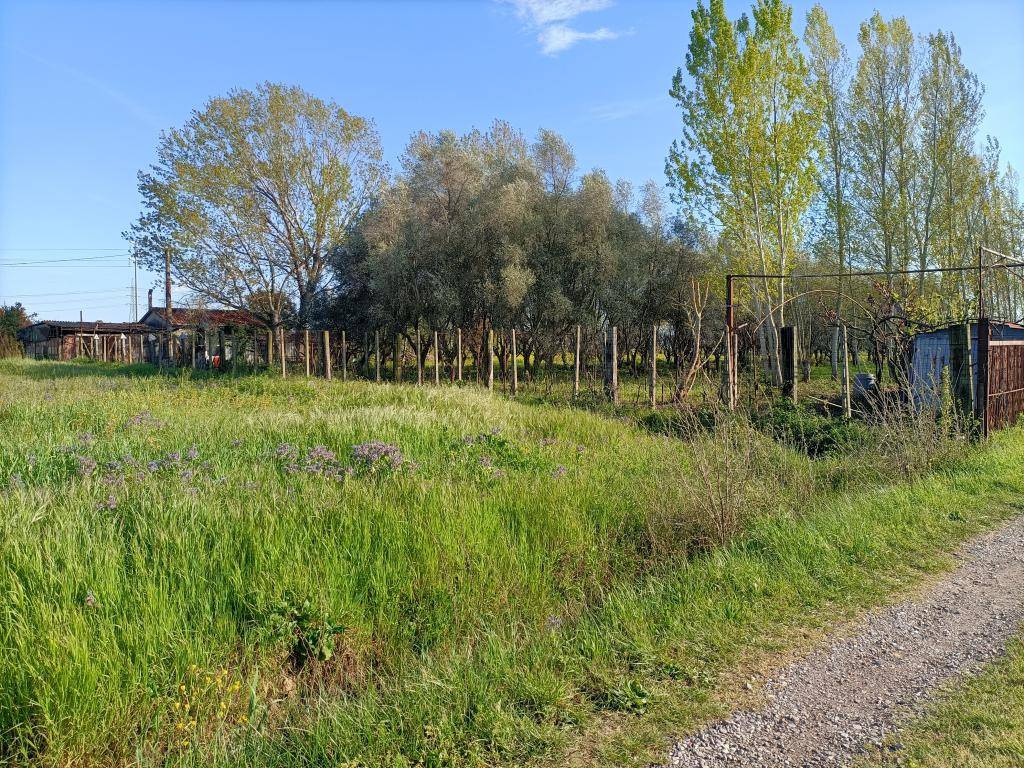 Terreno a Cascina in Via di Quarto Sud - Foto 4