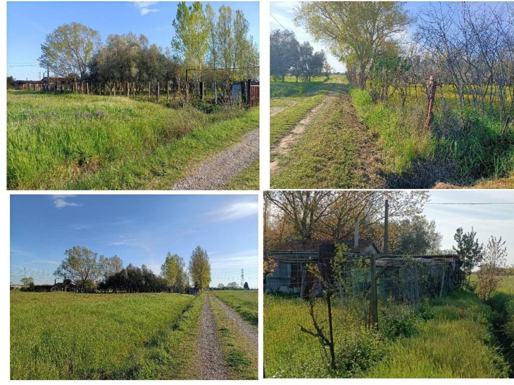 Terreno a Cascina in Via di Quarto Sud - Foto 5