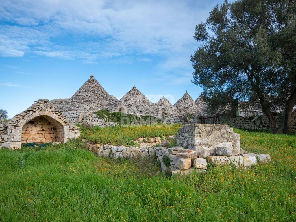 Rustico / casale a Ostuni in Contrada Fantese - Foto 3