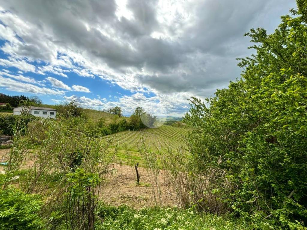 Casa indipendente a Nizza monferrato in Strada San Michele, 26 - Foto 5