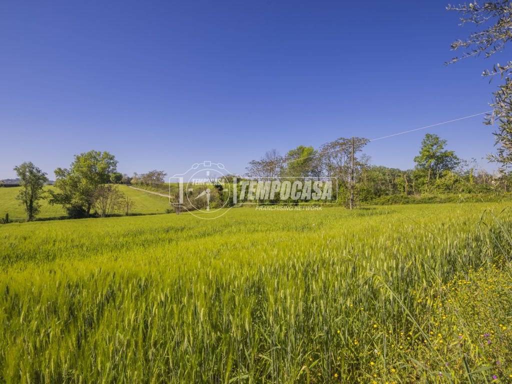 Terreno a Montecosaro - Foto 2