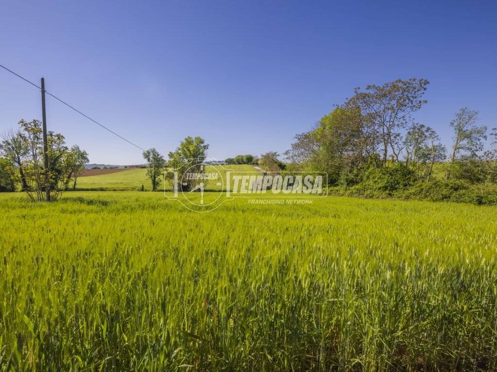 Terreno a Montecosaro - Foto 3