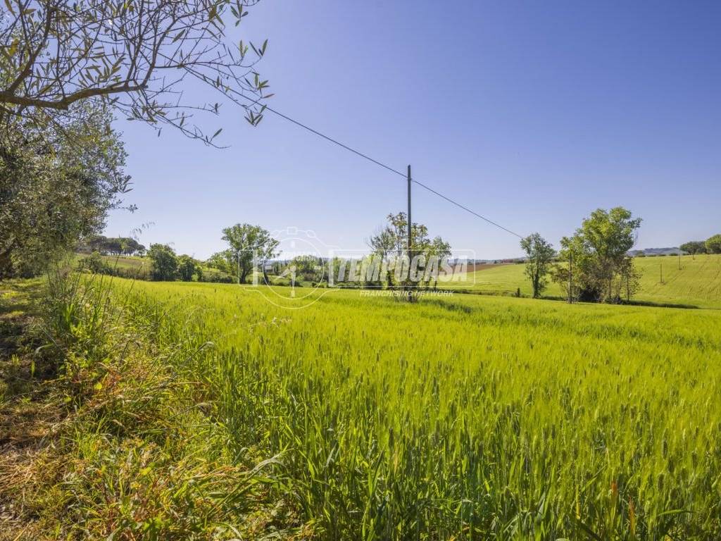 Terreno a Montecosaro - Foto 4