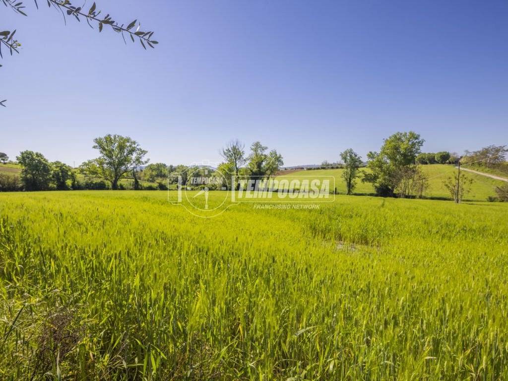 Terreno a Montecosaro - Foto 5