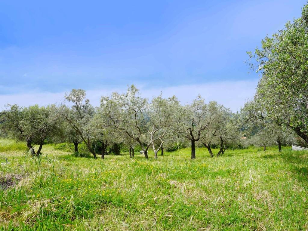 Terreno a Montopoli di sabina in Via Casenuove Granari, 20 - Foto 2