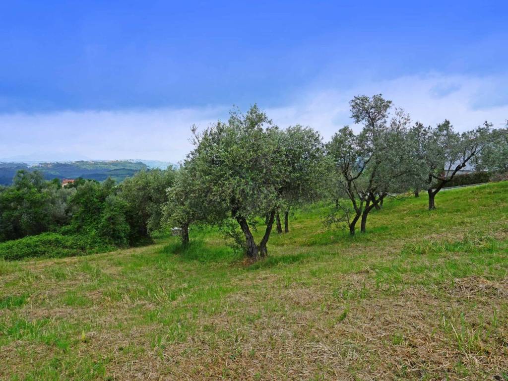 Terreno a Montopoli di sabina in Via Casenuove Granari, 20 - Foto 3
